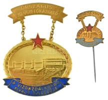 1955. "Országos Vízügyi Főigazgató / A Vízgazdálkodás Kiváló Dolgozója" aranyozott, zománcozott fém kitüntetés, miniatűrrel T:AU,XF patina