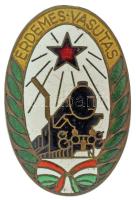 1970-1980. "Érdemes Vasutas" aranyozott, zománcozott kitüntető jelvénye (44x38mm) T:AU