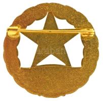 1960-1970. "Erdészet Kiváló dolgozója" aranyozott, zománcozott kitüntetés T:AU