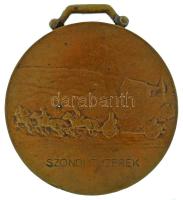 1941. "Szondi tüzérek / Becsülettel szolgált a hazáért" bronz emlékérem füllel, névre szól...