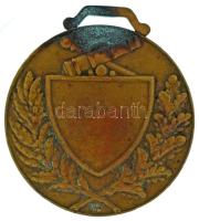 1930. "Bercsényi-Tüzérek" bronz emlékérem. Szign.: Berán Nándor (1889-1965) (45x50mm) T:XF...