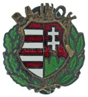 DN "BAJNOK" Kossuth-címeres, részben zománcozott bronz gomblyukjelvény (17x19mm) T:AU