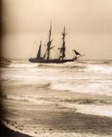 Peter Pedersen: Strandung und Schiffbruch. Mit Texten von Joseph Conrad und Entscheidungen der Seeäm...