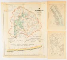 cca 1900 3 db térkép a Pallas Nagy Lexikonából: Balaton és környéke, A déli vasút térképe, A Tisza, utóbbin néhány szakadással, 15,5x24 cm és 46x38 cm