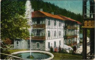 Feketehegy-fürdő, Feketehegy, Schwartzenberg, Cernohorské kúpele (Merény, Vondrisel, Nálepkovo); Új gyógyház / spa, bath (kopott sarkak / worn corners)