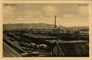 Nagytapolcsány, Topolcany; Parna pila / fűrésztelep, gőzfűrész, iparvasút / steam sawmill, industrial railway (EK)