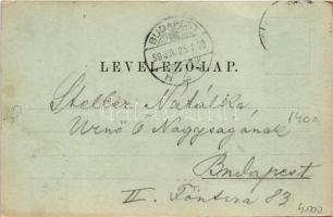 1899 (Vorläufer) Szászrégen, Sächsisch-Regen, Reghin; utcakép, szálloda, Georg Fall üzlete. Heiter G...