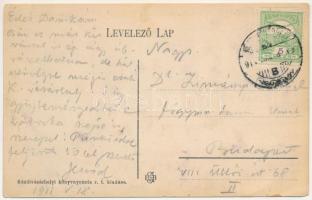 1911 Kézdivásárhely, Targu Secuiesc; Fő tér, Császár Lukács, Szőcs Mózes, Vargha Vilmos üzlete, kere...