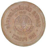 1981. 100Ft "FAO" meg nem valósult érmetervezet gipsz előlapi NEGATÍV nagyminta (158mm) T:AU Hungary 1981. 100 Forint "FAO" unrealized coin's plan obverse NEGATIVE large plaster sample (158mm) C:AU Adamovszky katalógusban nem szerepel / Not listed in Adamovszky's catalogue