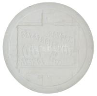 1983. 100Ft meg nem valósult érmetervezet gipsz előlapi NEGATÍV nagyminta (158mm) T:AU,XF ph. Hungary 1983. 100 Forint unrealized coin's plan obverse NEGATIVE large plaster sample (158mm) C:AU,XF edge error Adamovszky katalógusban nem szerepel / Not listed in Adamovszky's catalogue