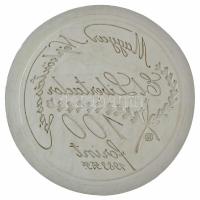 1983. 100Ft meg nem valósult érmetervezet gipsz előlapi NEGATÍV nagyminta (158mm) T:AU Hungary 1983. 100 Forint unrealized coin's plan obverse NEGATIVE large plaster sample (158mm) C:AU Adamovszky katalógusban nem szerepel / Not listed in Adamovszky's catalogue