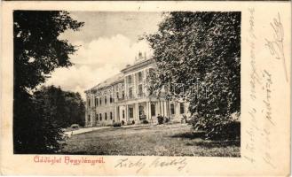 1904 Nagyláng (Soponya), Gróf Zichy kastély, park (EK)