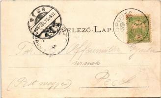 1904 Nagyláng (Soponya), Gróf Zichy kastély, park (EK)