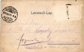 1900 Monor, Szent Margit artézi és gőzfürdő látképe (vágott / cut)