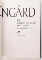 Lászlóffy Aladár: Házsongárd. Bp., 1989, Helikon Kiadó. Kiadói kartonált papírkötés, kiadói papírbor...