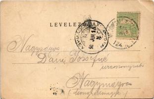 1906 Mezőhegyes, törzsépület. Auspitz Lajos kiadása + "MEZŐHEGYES - KÉTEGYHÁZA 124. SZ." v...