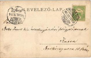 1905 Magyaróvár, Mosonmagyaróvár; M. Kir. Gazdasági Akadémia kertje. photo (EK)