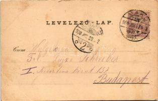 1900 Makó, Megyeháza, Fő tér, M. kir. járásbíróság, főgimnázium, városháza. Kiadja Gaál László. Art ...