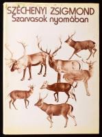 Széchényi Zsigmond: Szarvasok nyomában és egyéb írások. Bp., 1979, Gondolat. Első kiadás. Fekete-fehér fotókkal illusztrált. Kiadói egészvászon-kötés, kiadói kissé foltos papír védőborítóval, jó állapotban.