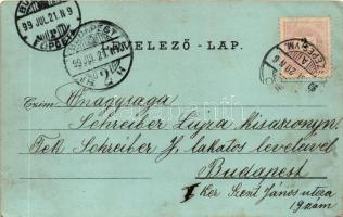 1899 (Vorläufer) Nagylévárd, Velké Leváre; templom, Gróf Wenckheim kastély, Vasútállomás, Ménes, Hub...