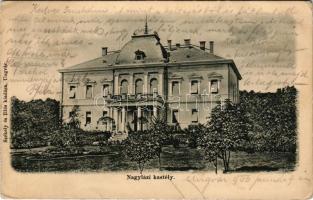1906 Nagyláz, Velyki Lazy; Plotényi kastély. Székely és Illés kiadása (Ungvár) / castle, mansion (EB)
