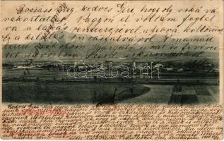 1903 Liptószentmiklós, Liptovsky Mikulas; látkép. Löw Dezső kiadása / general view (EK)