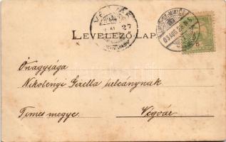 1903 Liptószentmiklós, Liptovsky Mikulas; látkép. Löw Dezső kiadása / general view (EK)