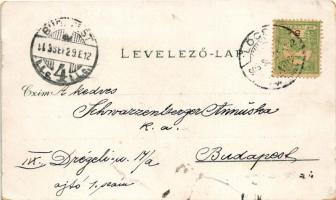 1903 Lőcse, Leutschau, Levoca; Rathaus, Honvéd Denkmal, Marienberg, Total Ansicht, Historisches Haus...