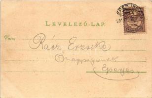 1901 Nagylak, Nadlac; Városháza, Városi óvoda, Fő tér, állami elemi iskola, üzletek. Leopold Jakab é...