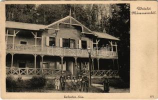 Gyertyánliget, Polyana-Gyertyánliget, Kabola Polyána, Kobyletska Poliana (Máramaros, Maramures); Salvator ház, kiadja Weingarten Zsiga / villa (EM)