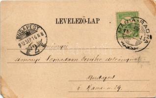 1902 Máriaradna, Mária-Radna, Radna (Lippa, Lipova); Kálvária, kápolna, Lourdes-i kápolna. Csauscher...