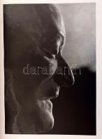 Rosemerie Clausen: Die Vollendeten. Stuttgart,1941., Der Tazzelwurm Verlag Albert Jauss. Benne feket...