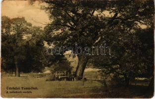 Tamási, A vadaskerti csodafa (ragasztónyom / glue mark)