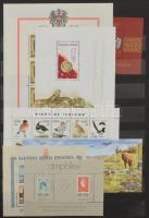 Többletpédányok nyugat-európai országokból, érdekes tétel jobb kiadásokkal, blokkokkal, szétesett 16...