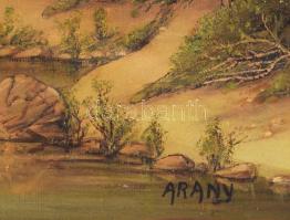 Arany jelzéssel: Vízparti táj. Olaj, vászon. Kissé sérült. Dekoratív, sérült fakeretben. 50x60 cm