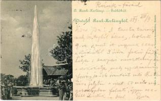 1899 (Vorläufer) Ránkfüred, Rank-Herlány, Ránkherlány, Rank Herlein, Herlany (Kassa, Kosice, Kaschau); gejzír, szökőkút. Kiadja Vitéz A. / geyser, fountain