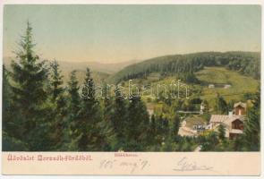 1905 Borszék, Borsec; Bükkhavas / general view (EK)