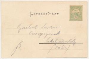 1905 Borszék, Borsec; Bükkhavas / general view (EK)