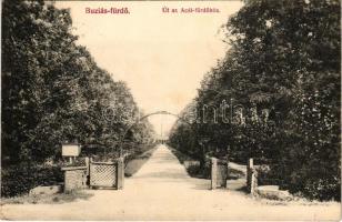 1907 Buziás-fürdő, Baile Buzias; út az Acél fürdőhöz. Francz testvérek kiadása / street to the spa (EK)