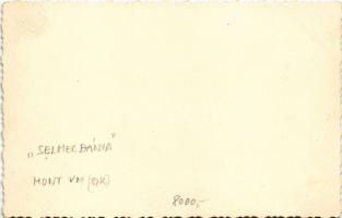 Selmecbánya, Schemnitz, Banská Stiavnica; nyaraló / villa. photo