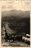 1940 Gyergyói-havasok, Muntii Giurgeu (Gyergyószentmiklós, Gheorgheni); Juhnyáj a Cohárd tetőn. Ambrus foto / flock of sheep. photo + "1940 GYERGYÓSZENTMIKLÓS VISSZATÉRT" So. Stpl (gyűrődés / crease)