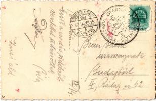 1940 Gyergyói-havasok, Muntii Giurgeu (Gyergyószentmiklós, Gheorgheni); Juhnyáj a Cohárd tetőn. Ambr...