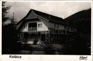 1943 Kolibica, Colibita; ház / house. photo