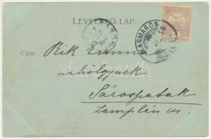 1900 Erdészvölgy, Kuzij (Lonka, Luh; Tisza-völgy, Máramaros); Rudolf trónörökös vadászkastélya. Maye...