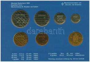 Hollandia 1993. 5c-2 1/2G (6xklf) forgalmi sor karton tokban, "Limburg" pénzverdei zsetonn...