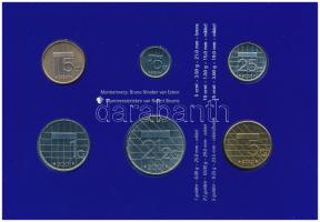 Hollandia 2001. 5c-5G (6xklf) forgalmi sor karton dísztokban, fólia borítékban T:UNC Netherlands 200...
