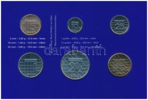 Hollandia 2000. 5c-5G (6xklf) forgalmi sor karton dísztokban, fólia borítékban T:UNC Netherlands 200...