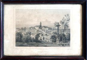 [Látkép] Keszthely. Ludwig Rohbock (1824-1893) német grafikusművész részletgazdag acélmetszete a &qu...