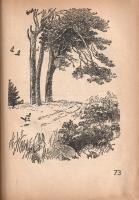 Milne, A[lan] A[lexander]:
Micimackó. Fordította Karinthy Frigyes. Ernest H. Shepard képeivel.
(Bu...