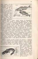 Balaton és környéke részletes kalauza. Szerkesztették Dornyay Béla és Vigyázó János.
Budapest, 1934...